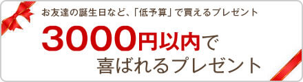 ���F�B�̒a�����ȂǁA��\�Z�Ŕ�����v���[���g�u3000�~�ȓ��Ŋ�΂��v���[���g�v
