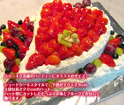 大きいサイズのケーキ 大人数の誕生日パーティー向けパーティーケーキ Happy Birthday Project