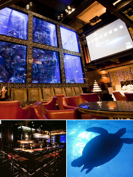 アクアリウム レストラン　Aqua Restaurant&Bar Luxis　アクアリウムのあるレストラン