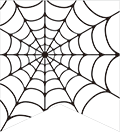 ハロウィン　蜘蛛の巣　スパイダーウェブ　白