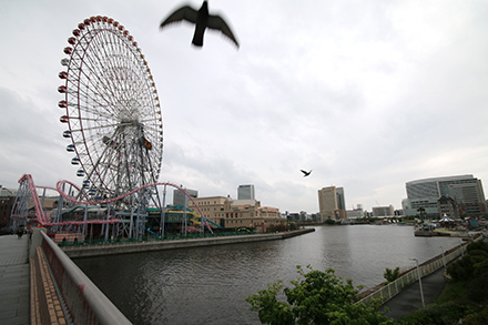 横浜ベイホテル東急　朝の散歩