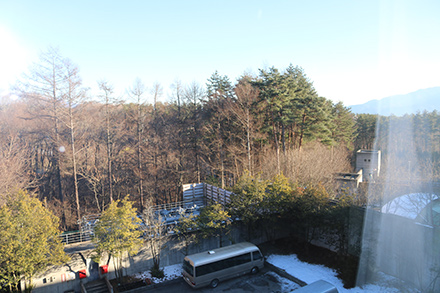 ホテルスタンダード　窓から見える景色　星野リゾート リゾナーレ八ヶ岳