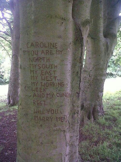 木にメッセージを刻んじったポロポーズアイデア