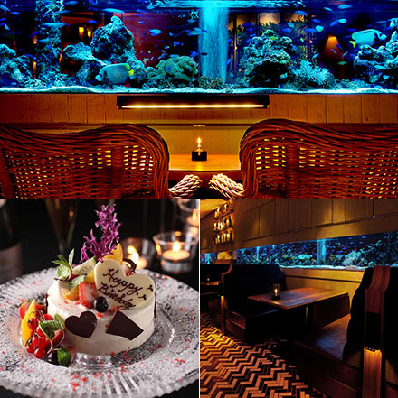 アクアリウムのあるバー＆レストラン〜まるで水族館のような素敵な空間！ 誕生日ディナー