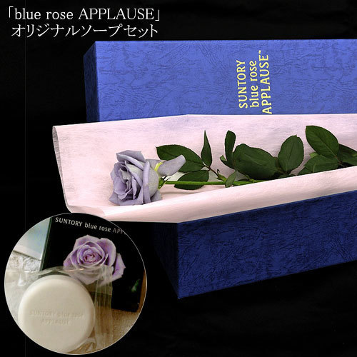 blue rose APPLAUSE BOX （1本入り）&オリジナルソープ