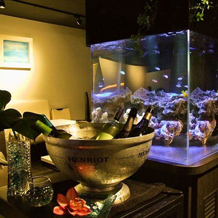 Dining Bar AQUARIUMダイニングバー　アクアリウム