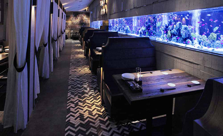 新宿駅 周辺エリアで誕生日 記念日向け特別プランのあるレストラン Happy Birthday Project