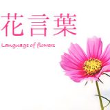誕生日に贈りたい！素敵な花束・フラワーギフト48選！