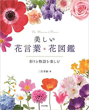 美しい花言葉・花図鑑‐彩りと物語を楽しむ