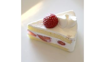 苺のショートケーキ1ピースの写真 無料で使える 誕生日のフリー素材 商用利用 加工可 Happy Birthday Project