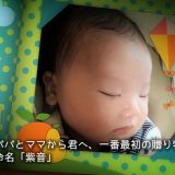 フェアリンクル　子供の思い出の成長記録を可愛い映像で残す