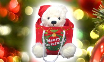 彼女のクリスマスプレゼントに人気!テディベア&ネックレスのギフトセット