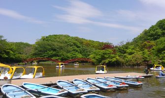 こどもの国　横浜　自然の遊び場