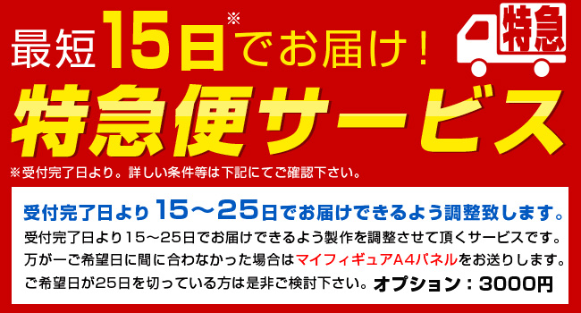 特急便サービス　有料オプション