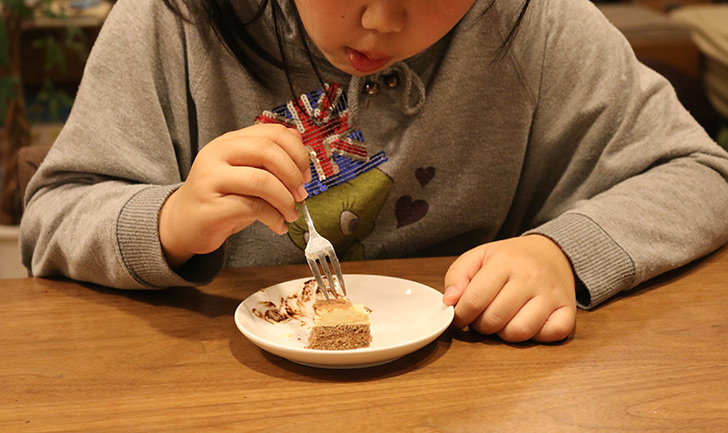 cake.jpのクリスマスケーキ　バニラとチョコの極上ブッシュ・ド・ノエル