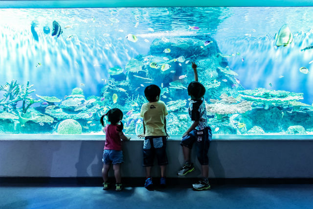 しながわ水族館