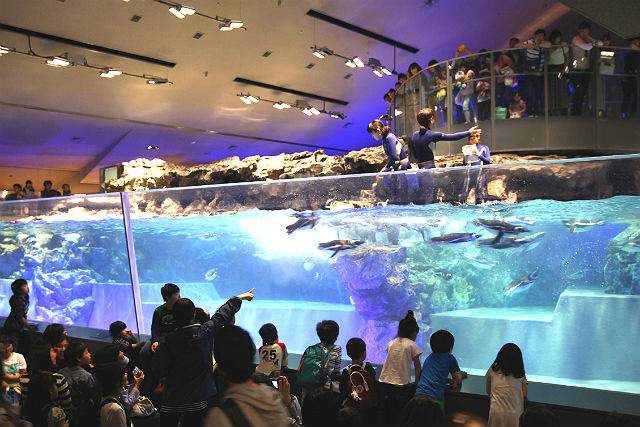 すみだ水族館