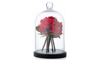 バラの花束プロポーズにおすすめ！枯れずにずっと飾れるフラワーブーケドーム