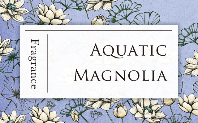 Aquatic Magnolia (アクアティック マグノリア)