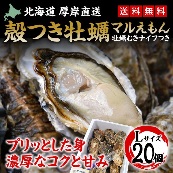 カキ 殻付き 生食用 牡蠣 Lサイズ 20個