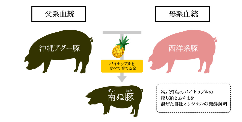 南ぬ豚（ぱいぬぶた）とは？