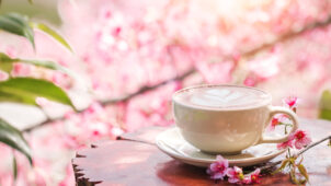 東京でお花見しながら食べられるカフェ＆レストラン16選！