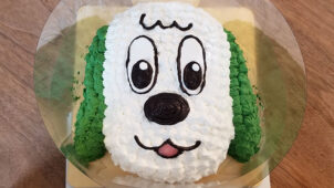 息子の誕生日にワンワンの立体キャラケーキをネットオーダーしてみた！