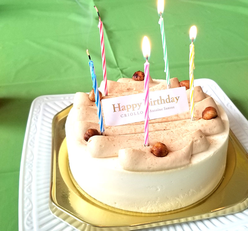 誕生日ケーキ　フォートナイトをテーマにした小学生男子の誕生日の飾り付け