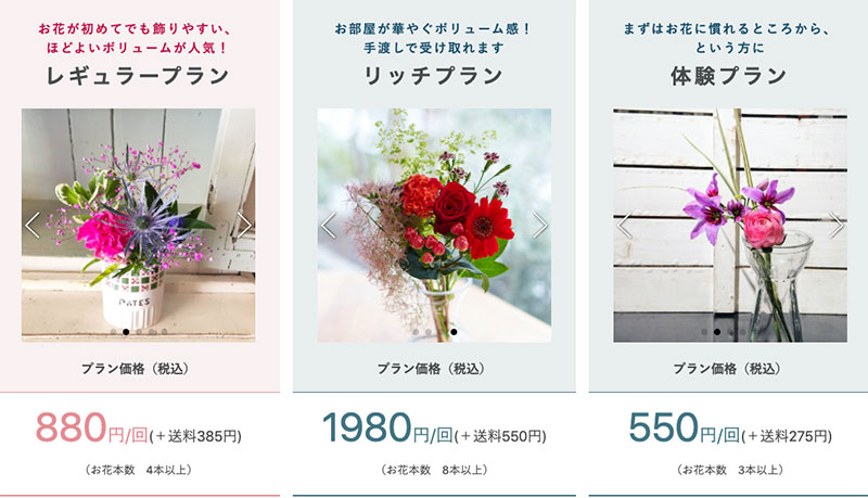 ブルーミーのプランについて
