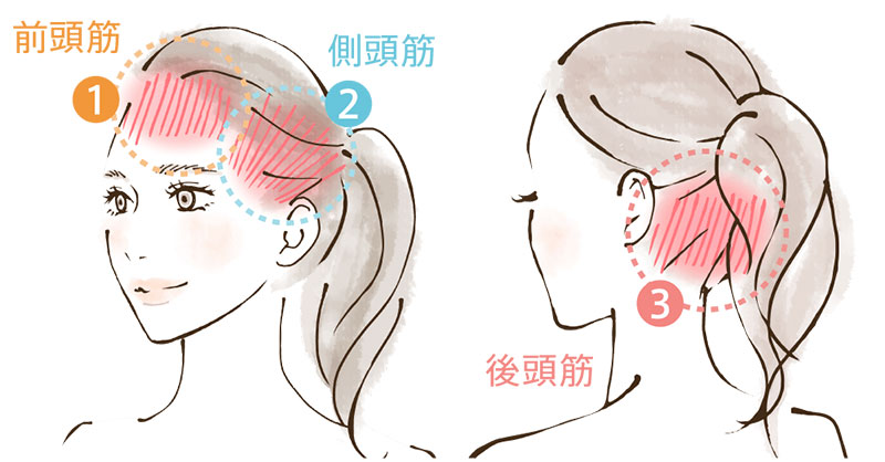 EMSで“頭筋”を刺激しお顔のリフトケアをする