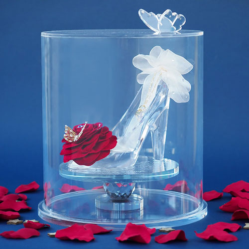 【赤いバラのシンデレラのガラスの靴】プリンセスローズ