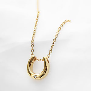 Horseshoe Necklace