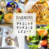 汐留の絶景レストランHARMONY（ハーモニー）のランチ「選べるメイン＆ハーフブッフェ」で誕生日をお祝い！