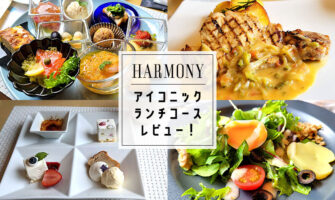 汐留の絶景レストランHARMONY（ハーモニー）のランチ「選べるメイン＆ハーフブッフェ」で誕生日をお祝い！