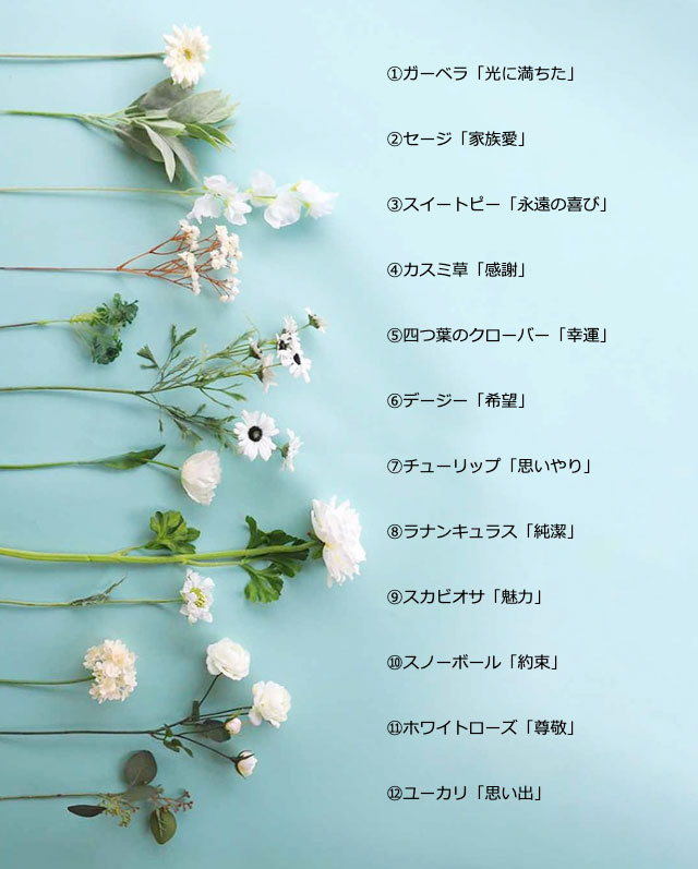 12本の花の名前と花言葉