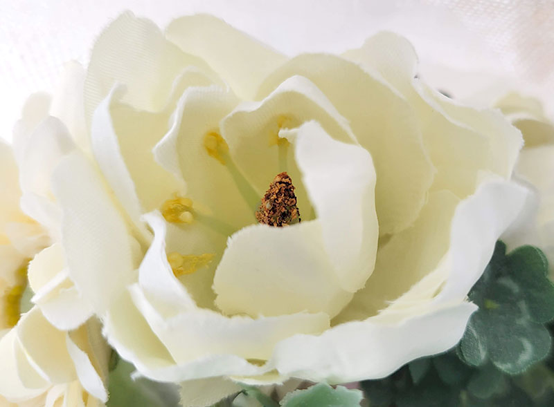 チューリップ　メリアルームメン　12本の白い花束(ホワイトダズンフラワー)　レビュー　口コミ　評価