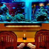 アクアリウムのあるバー＆レストラン〜まるで水族館のような素敵な空間！