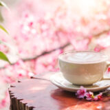 東京でお花見しながら食べられるカフェ＆レストラン16選！